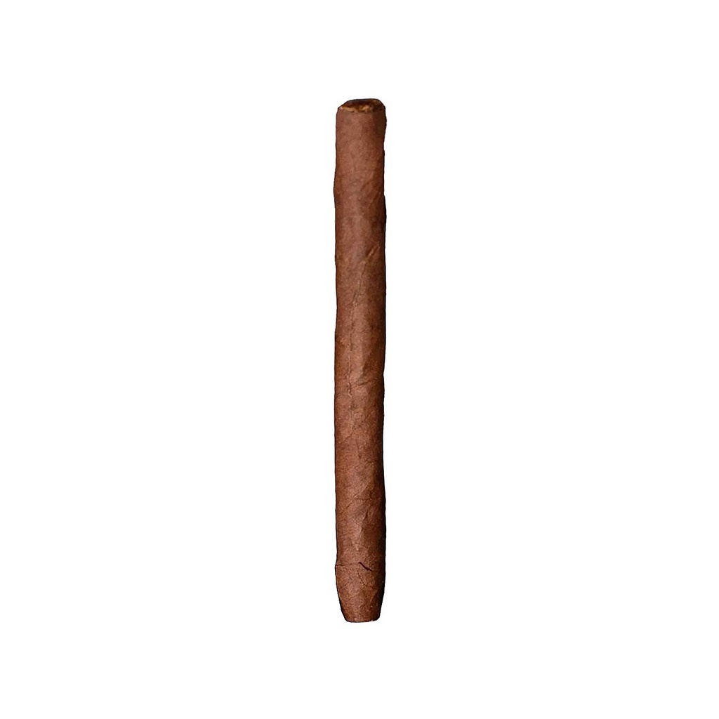 oliva.jpg