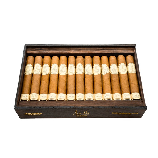 Robusto (Coffret de 25)