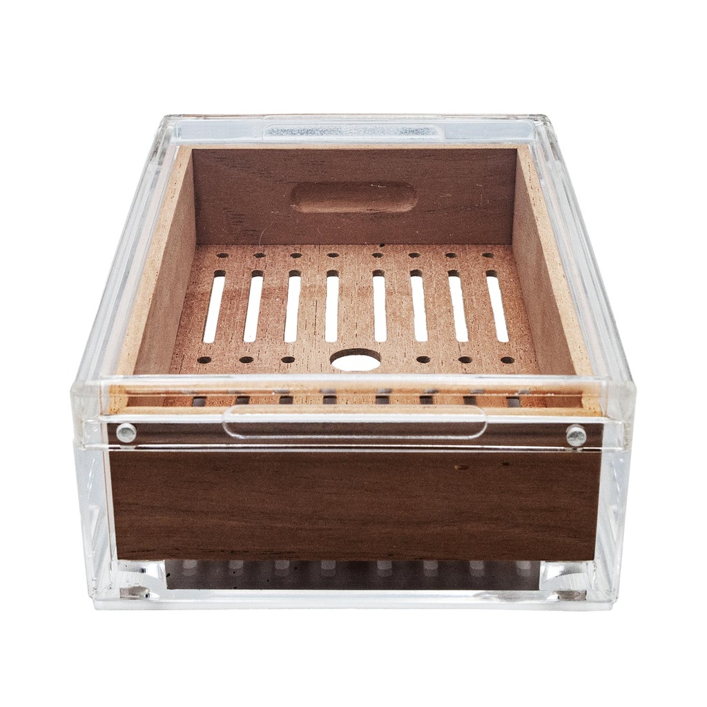 Humidor Angelo cèdre et acryl