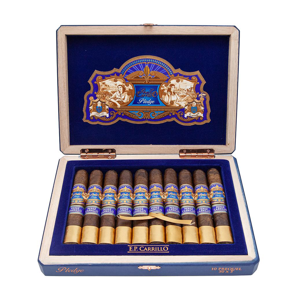 ​​EPCarillo Pledge Prequel