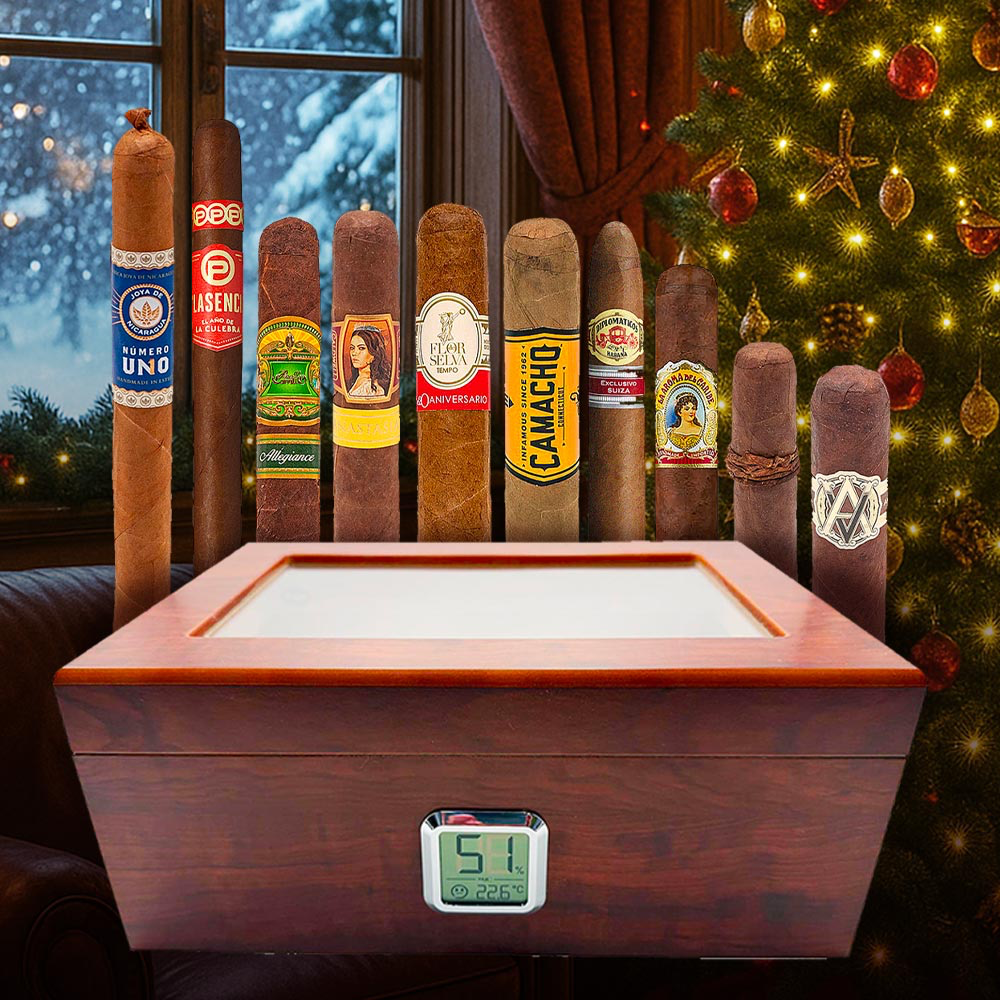 Humidor Angelo bois & 10 Cigares