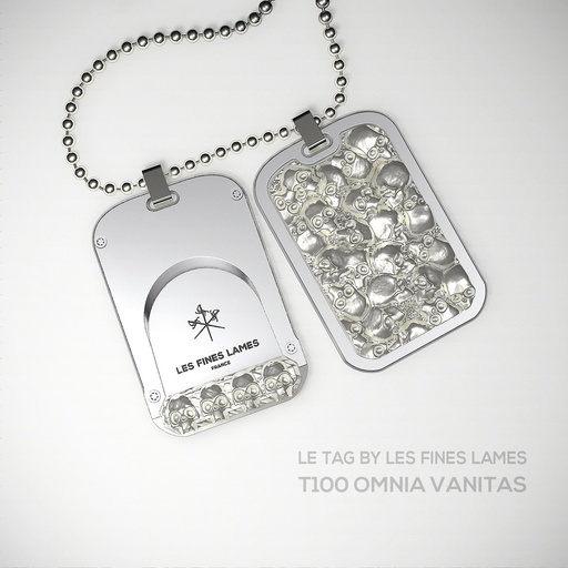 Le Tag T100 Tête de mort en argent